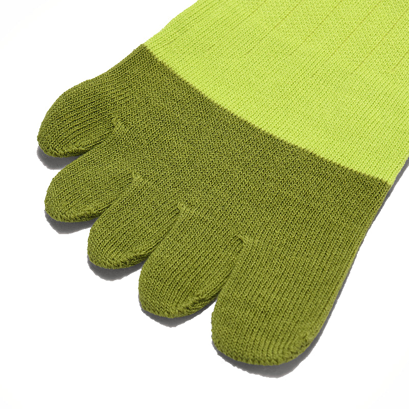 Vibrant Green/Pine Green