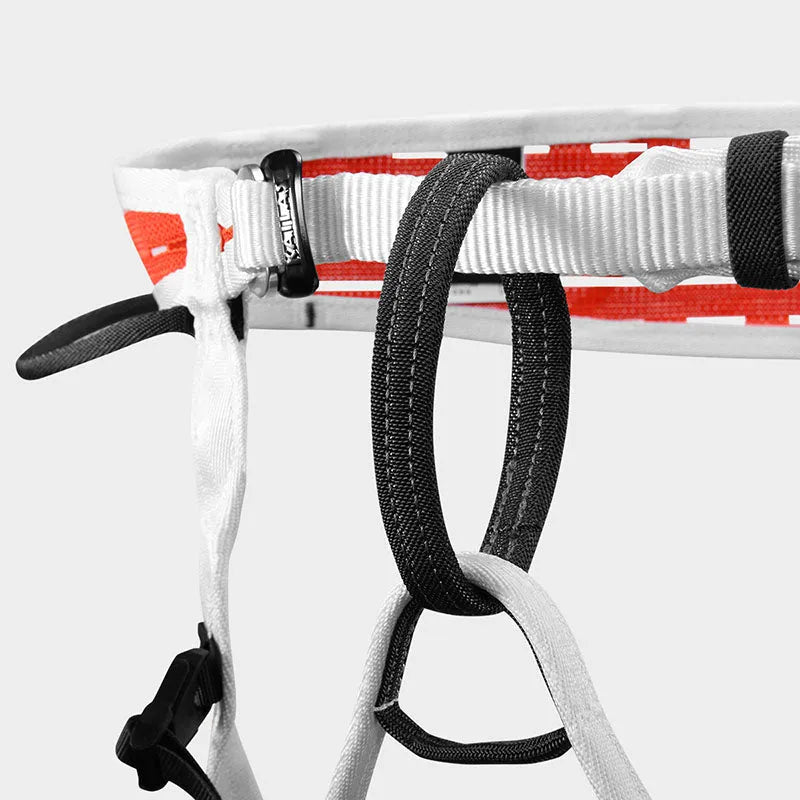 Orange/White